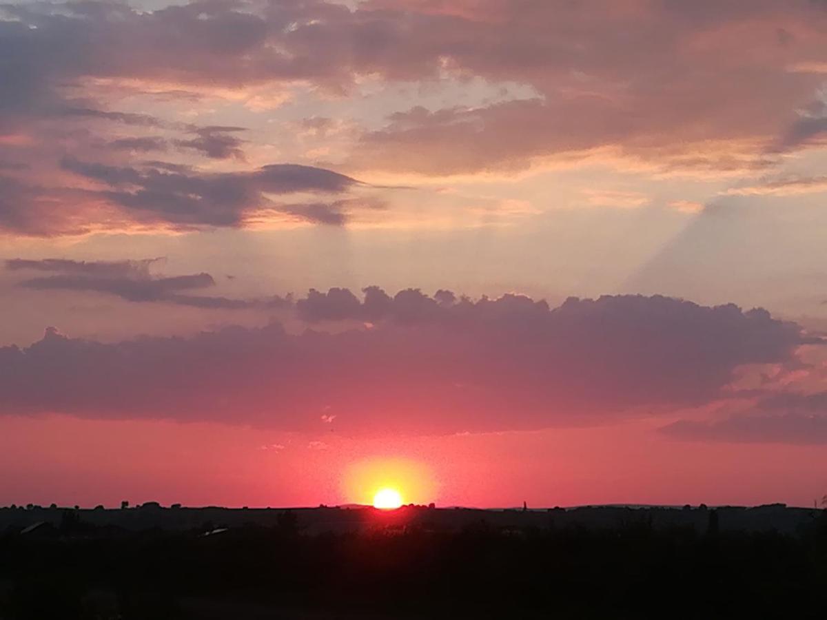 Pfahlbau Sunset II Toplage Inklusive Elektroboot 루스트 외부 사진